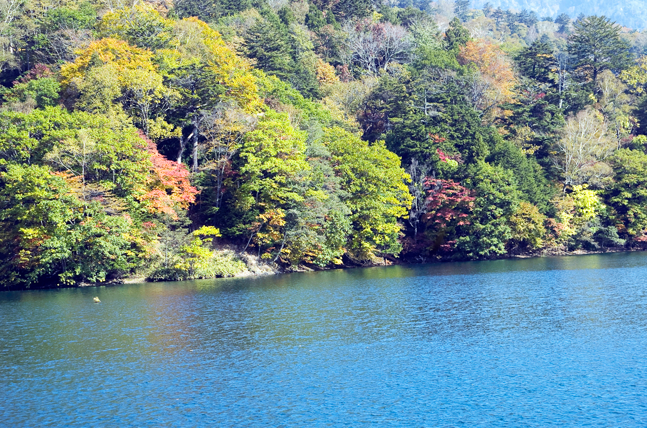 群馬・片品村・丸沼　NIKON D2H　24.0-120.0 mm f/3.5-5.6　84 mm　1/180 秒 (f / 6.7)