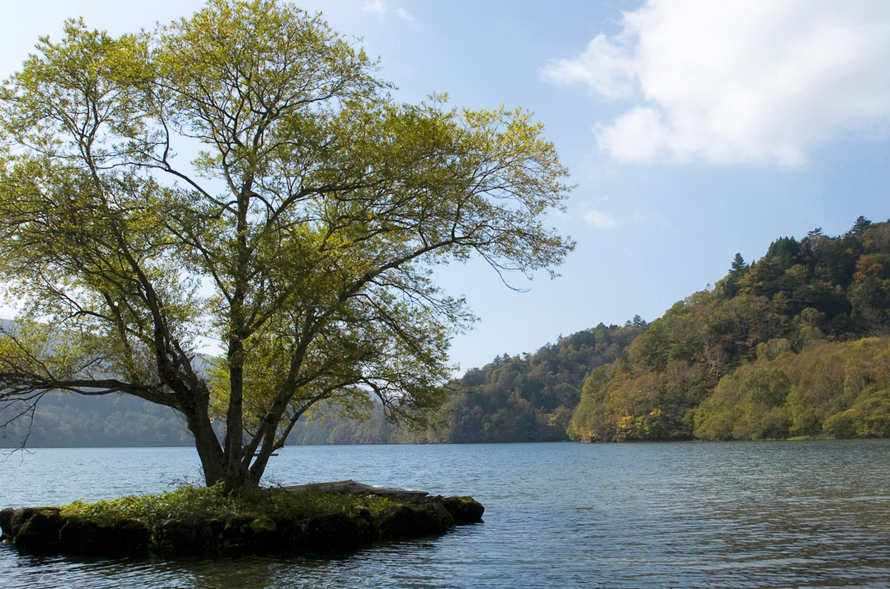 群馬・片品村・丸沼　NIKON D2H　24.0-120.0 mm f/3.5-5.6　36 mm　1/350 秒 (f / 9.5)