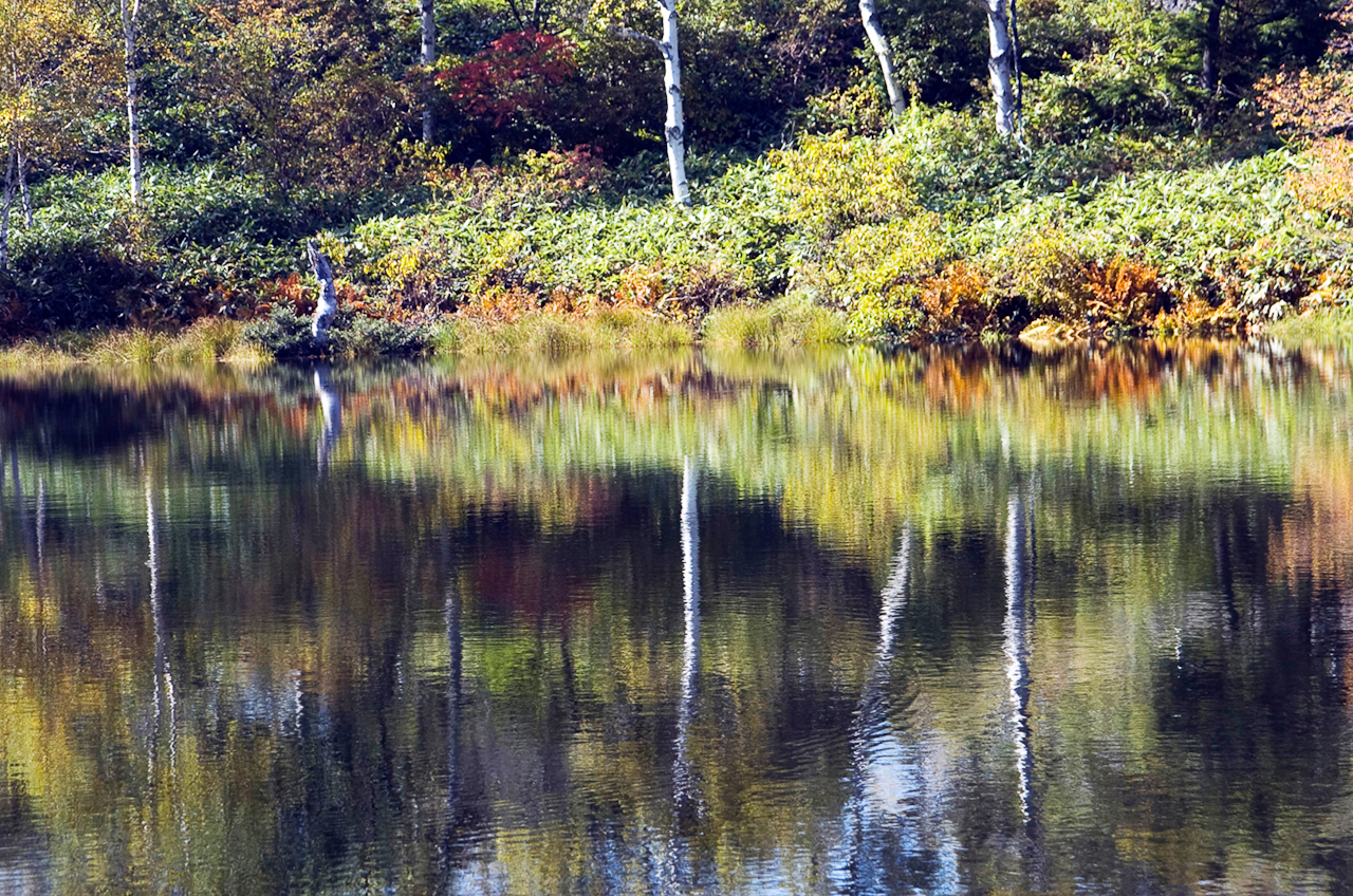 長野・志賀高原・長池　NIKON D2H　24.0-120.0 mm f/3.5-5.6　99 mm　1/160 秒 (f / 6.3)