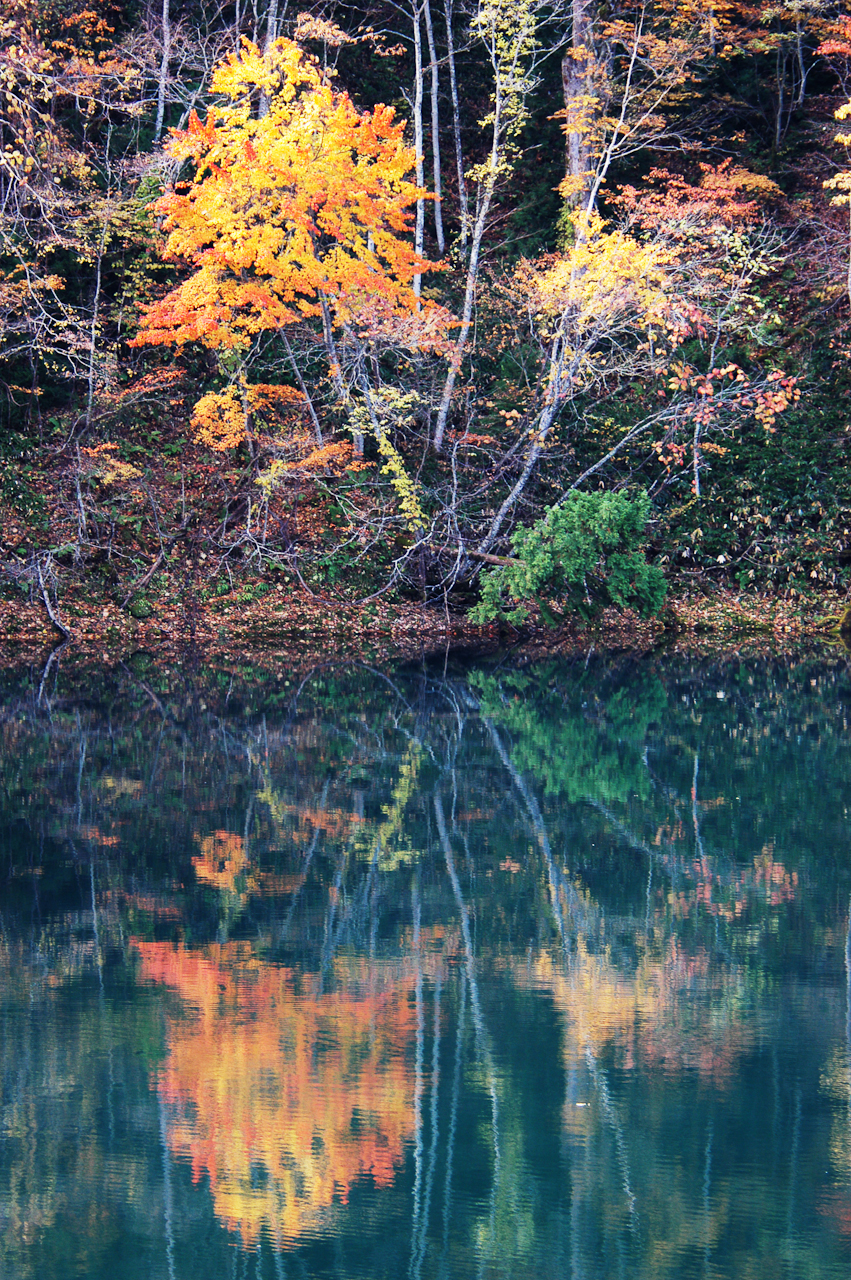 群馬・片品村・丸沼　NIKON D100　80.0-400.0 mm f/4.5-5.6　180 mm　1/40 秒 (f / 5.0)