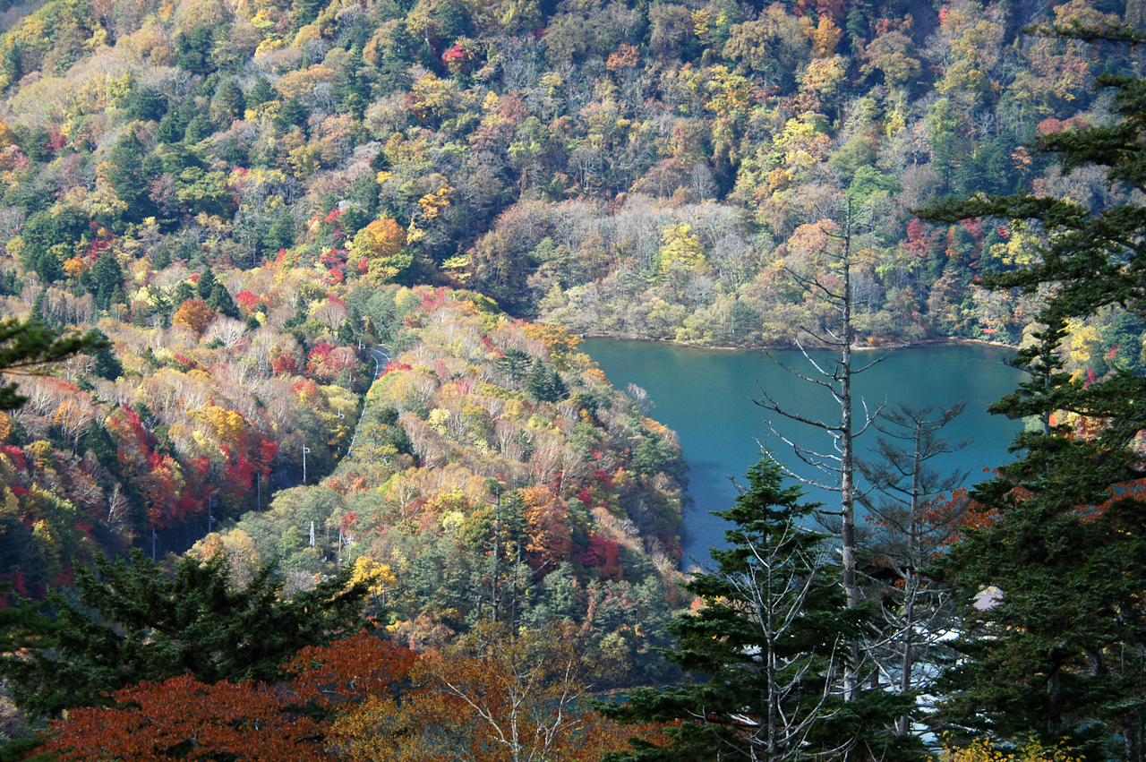 群馬・片品村・丸沼　NIKON D100　80.0-400.0 mm f/4.5-5.6　165 mm　1/500 秒 (f / 5.6)