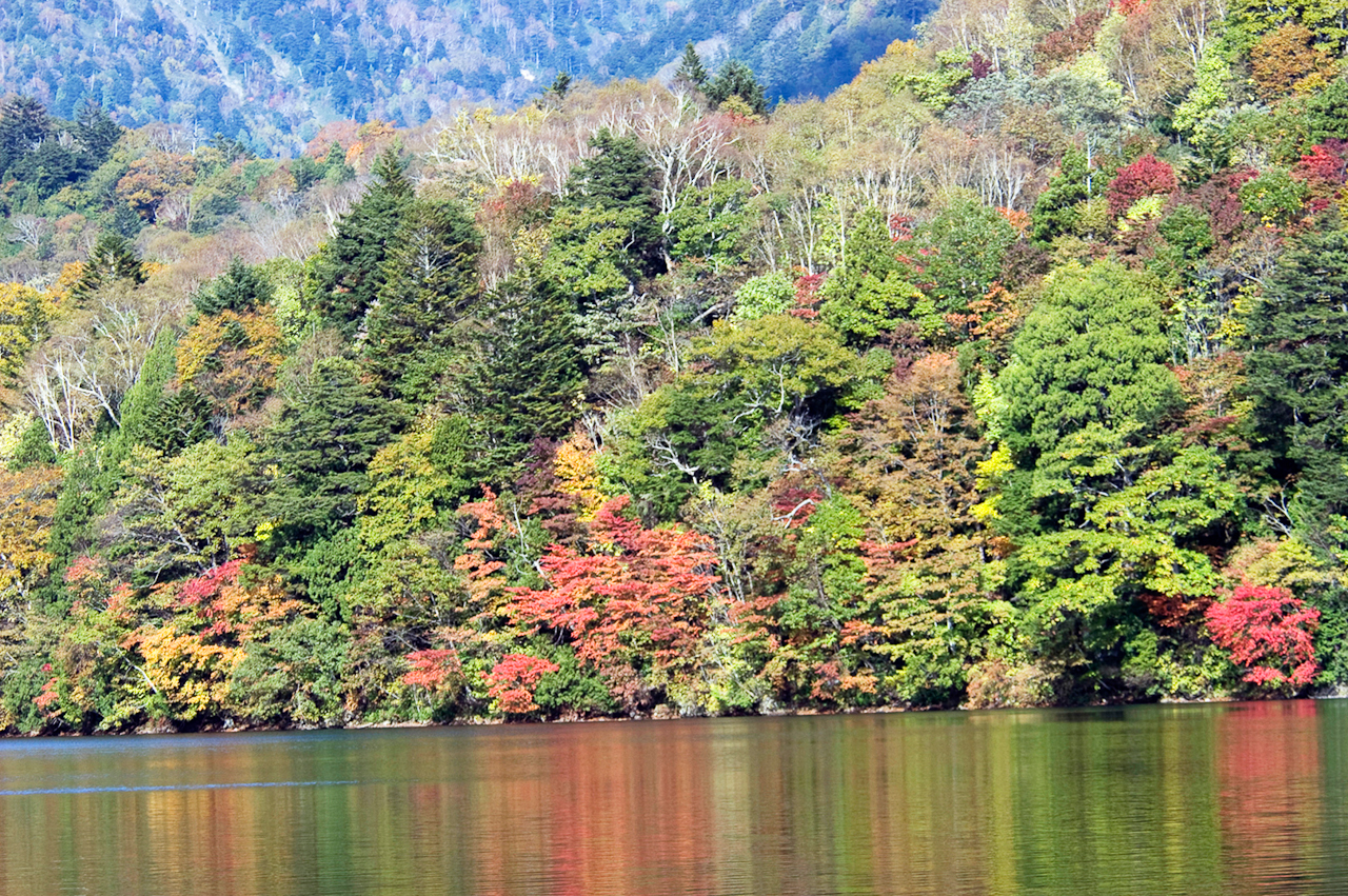 群馬・片品村・丸沼　NIKON D100　80.0-400.0 mm f/4.5-5.6　165 mm　1/500 秒 (f / 5.6)