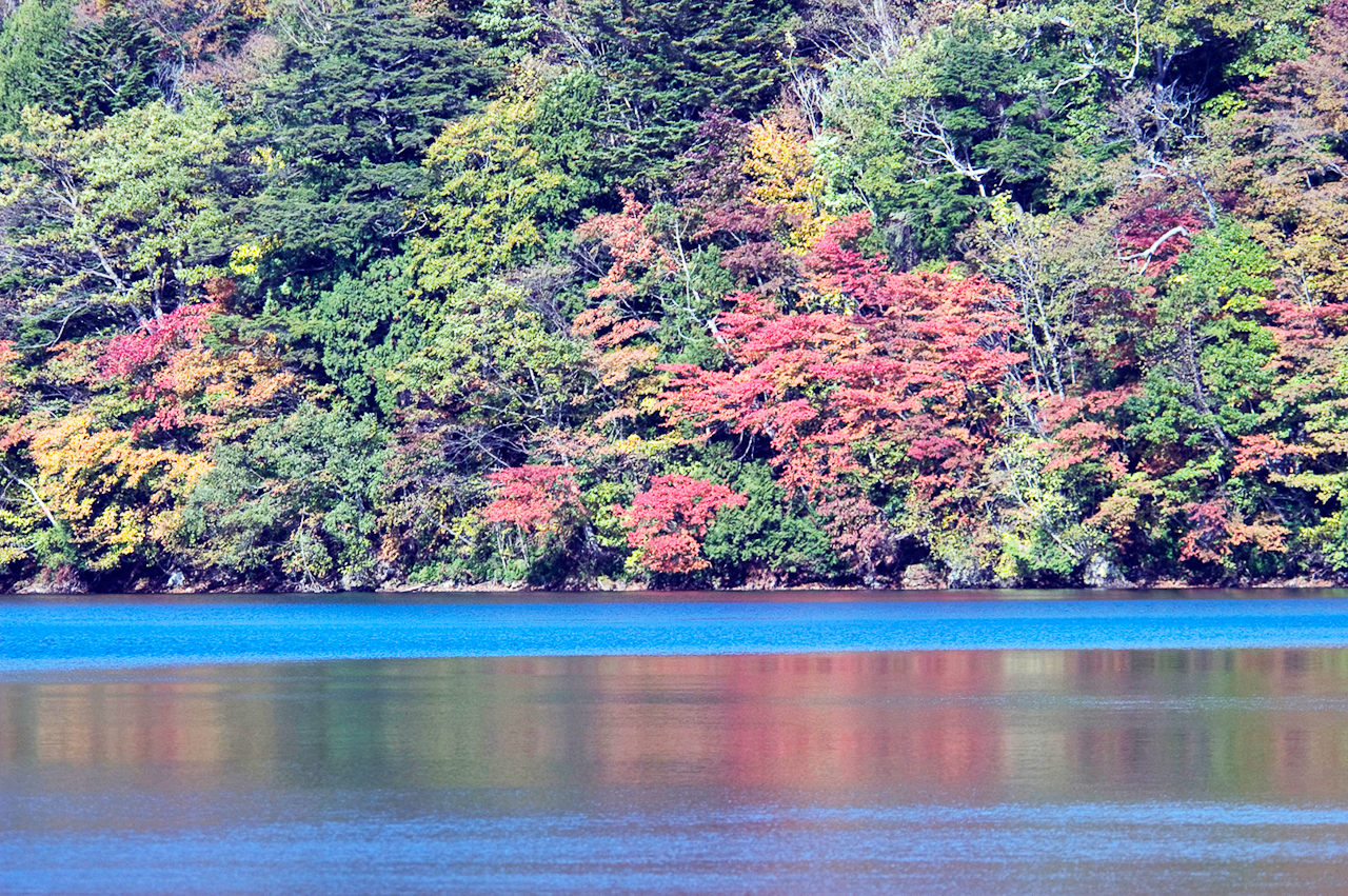 群馬・片品村・丸沼　NIKON D100　80.0-400.0 mm f/4.5-5.6　277 mm　1/500 秒 (f / 5.6)