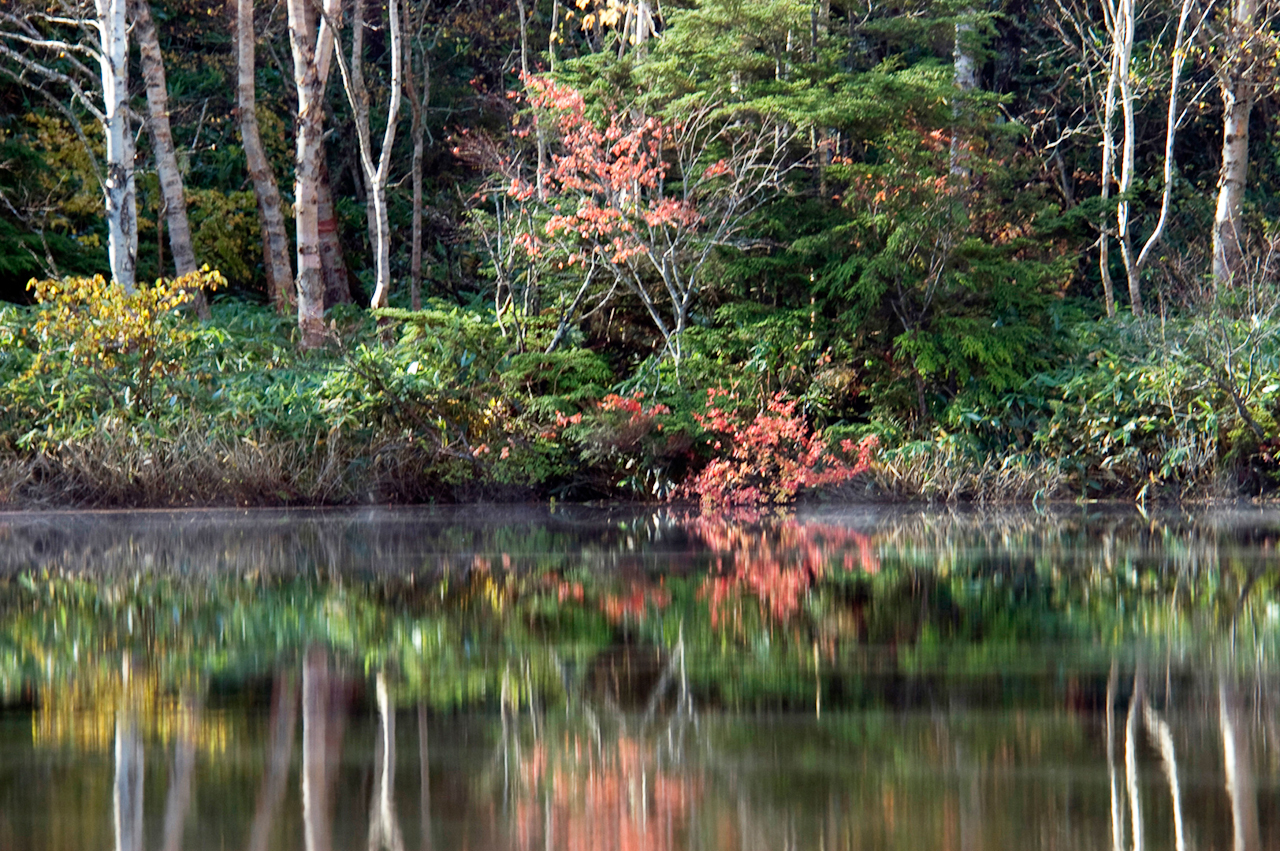 長野・志賀高原・上の小池　NIKON D100　80.0-400.0 mm f/4.5-5.6　330 mm　1/60 秒 (f / 5.3)