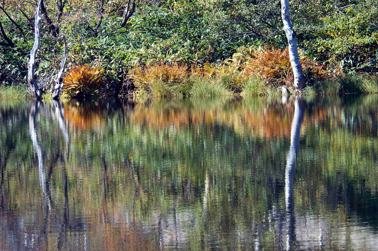 長野・志賀高原・上の小池　NIKON D100　80.0-400.0 mm f/4.5-5.6　150 mm　1/350 秒 (f / 4.8)