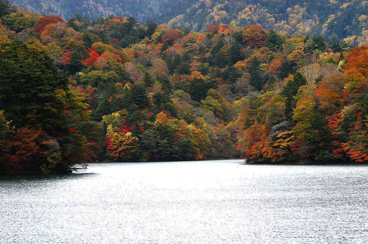 群馬・片品村・丸沼　NIKON D100　　120 mm　1/60 秒 (f / 11)