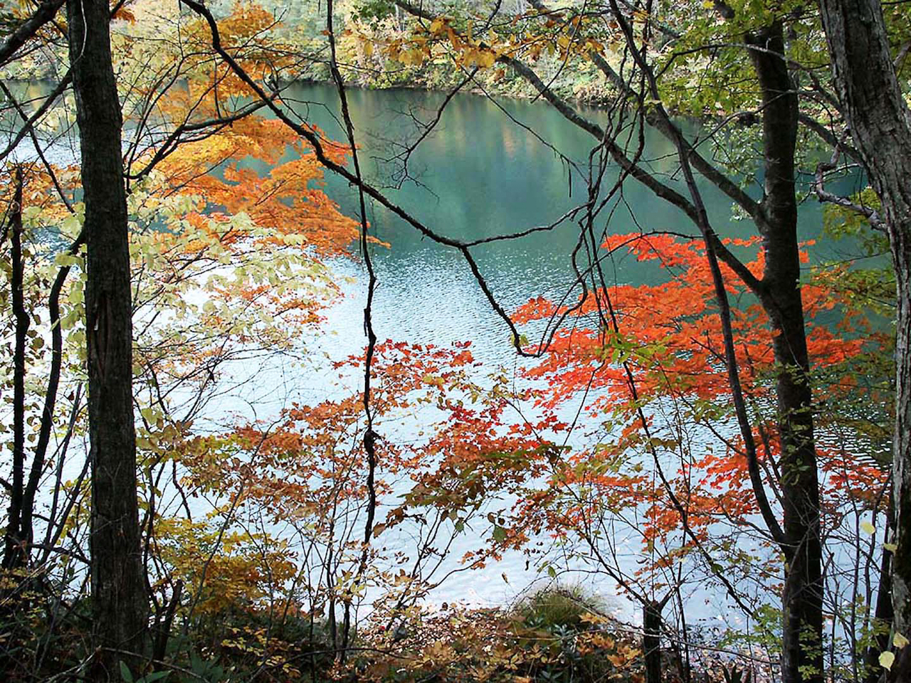 群馬・片品村・丸沼　DiMAGE 7　　　1/90 秒 (f / 3.4)